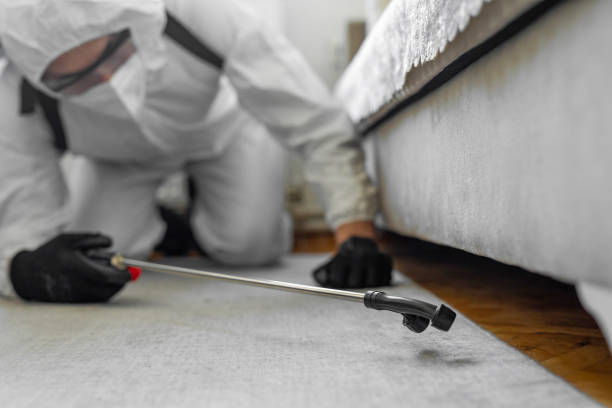 Professional Bed Bug Control technician working in Sabine Parish County, LA